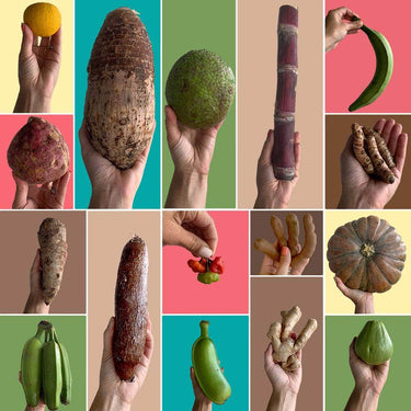 Create Your Own Tropical Roots Box Tropical Fruit Box Produce Box 00879502008445